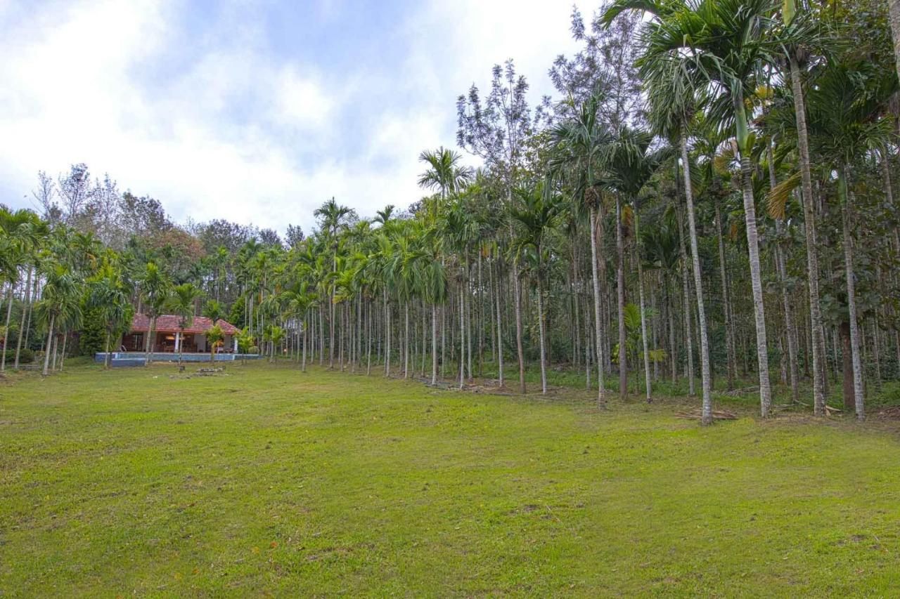 Stayvista At Tall Silver With Infinity Pool & Breakast Madikeri Exterior foto