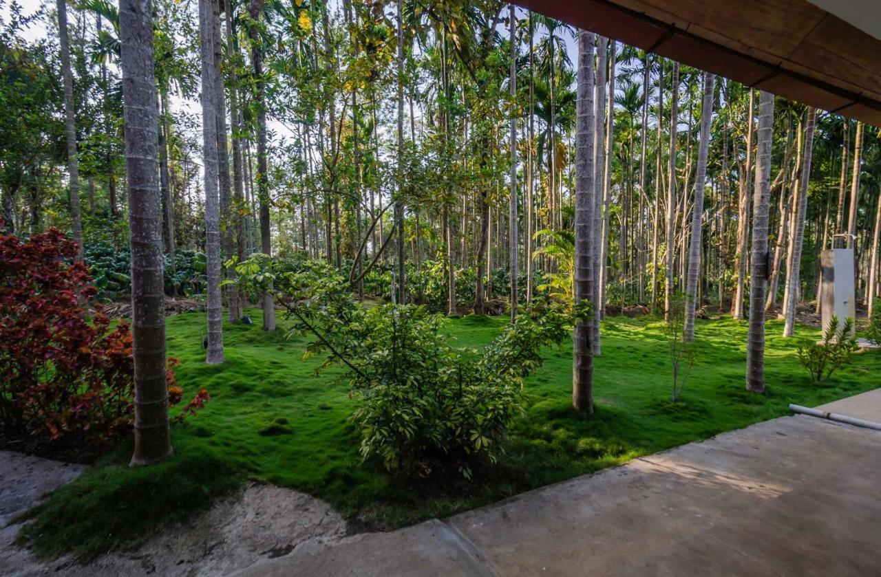 Stayvista At Tall Silver With Infinity Pool & Breakast Madikeri Exterior foto
